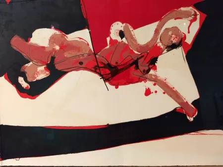 插图书 Rebeyrolle - Coexistances