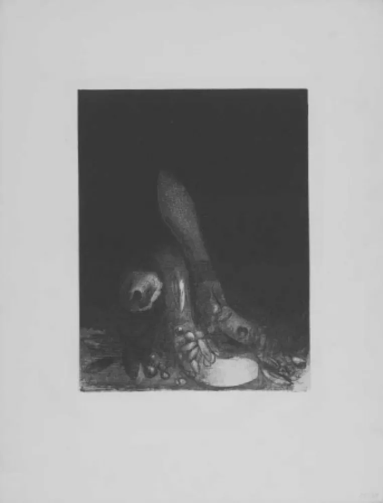 石版画 Redon - Des fleurs tombent, e la tete d'un phyton parait