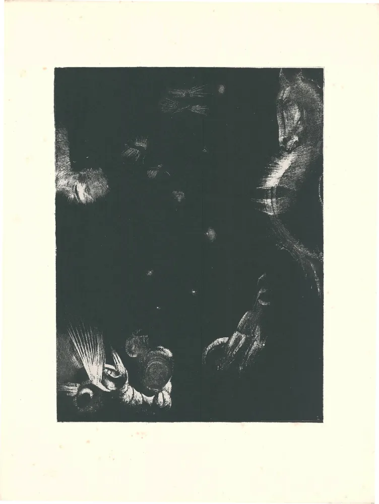 石版画 Redon - Des peuples divers habitent les pays de l'Océan