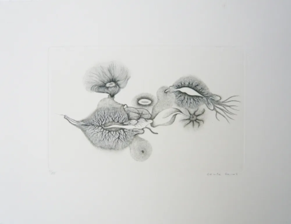 版画 Reims - Sans titre