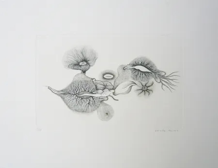 版画 Reims - Sans titre