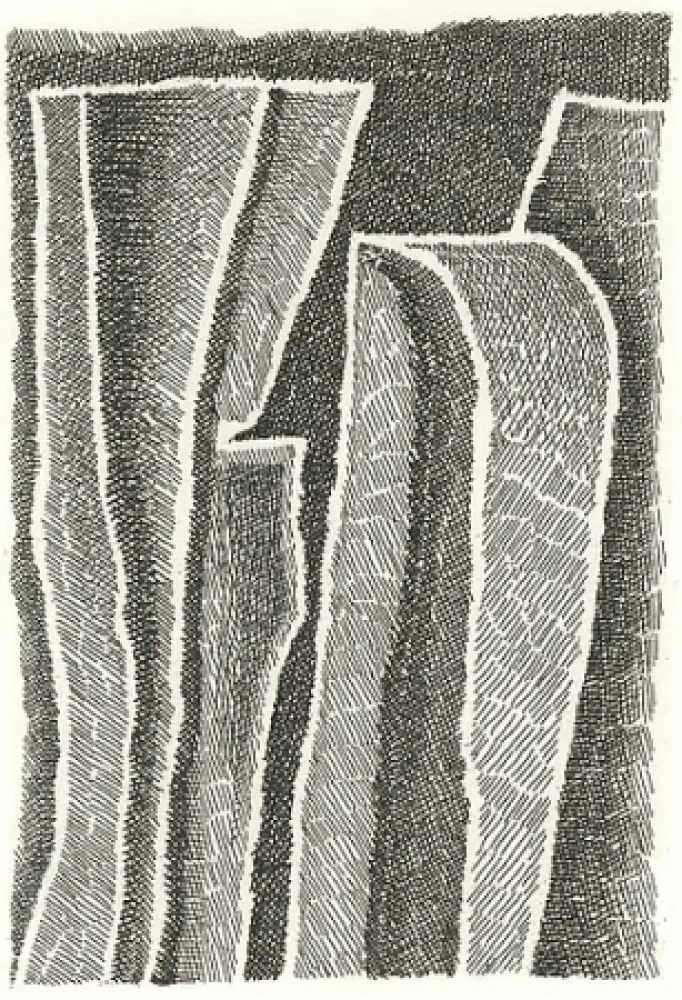 插图书 Ricci - I Sassi di Matera