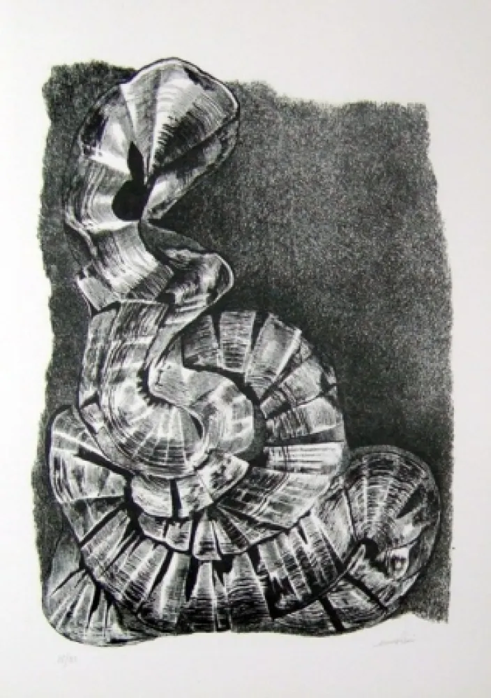 插图书 Ricci - Lettera a un amico (e, indirettamente, a tutti gli altri)