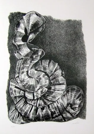 插图书 Ricci - Lettera a un amico (e, indirettamente, a tutti gli altri)