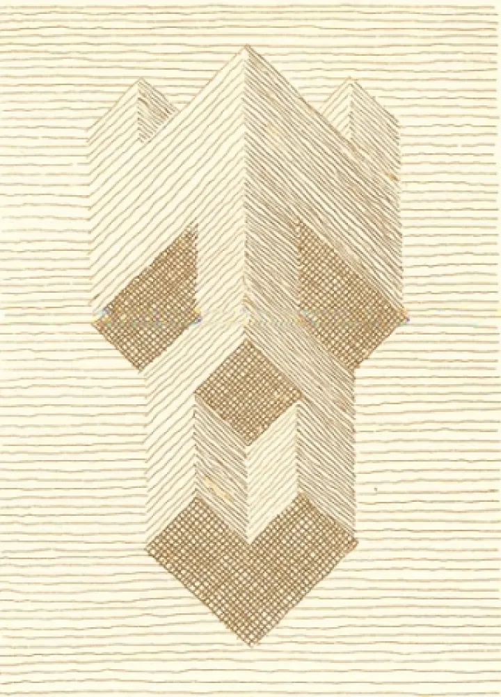 插图书 Ricci - Nel rettangolo dei teoremi