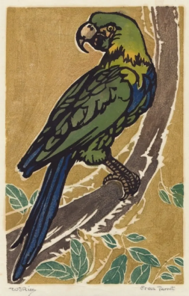 木刻 Rice - Green Parrot
