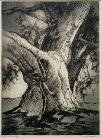 干刻版画 Rice - The Le Conte Oak