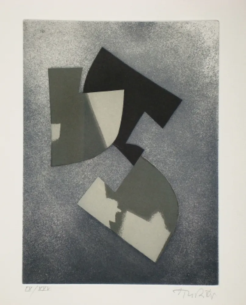 蚀刻飞尘法 Richter - Faits divers, faits éternels