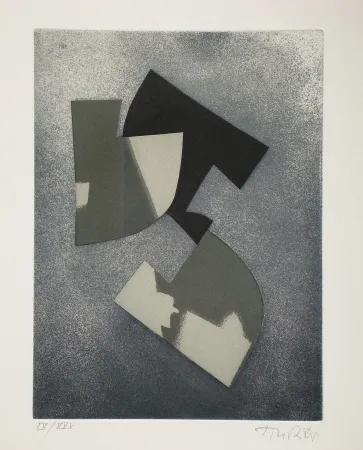 蚀刻飞尘法 Richter - Faits divers, faits éternels