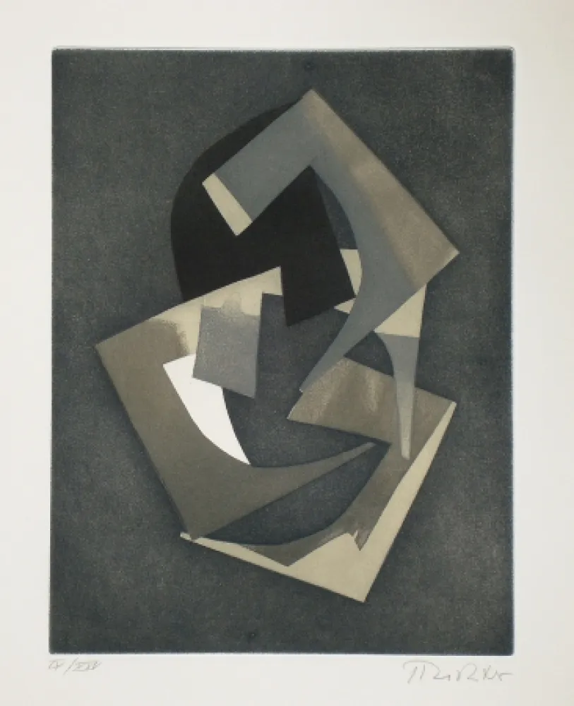 蚀刻飞尘法 Richter - Faits divers, faits éternels