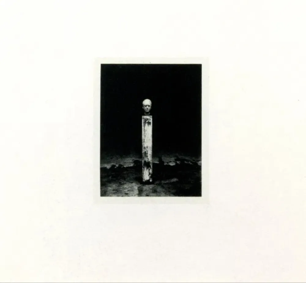 胶版印刷 Richter - Self-portrait