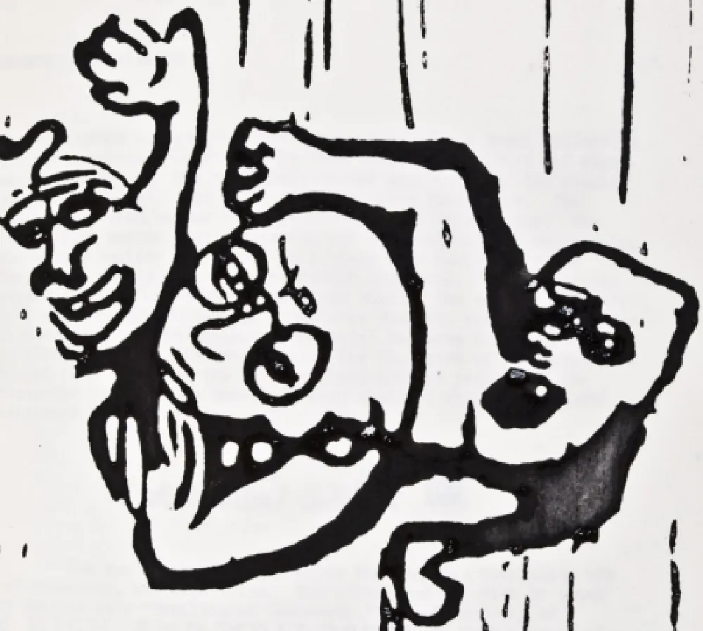 插图书 Ricklefs - The New Freedom