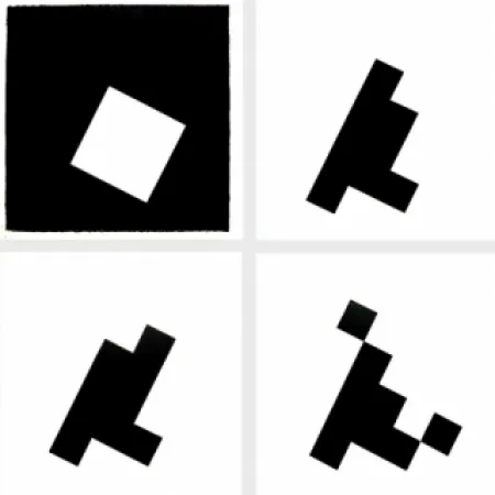 插图书 Ridell - Mesure du signe