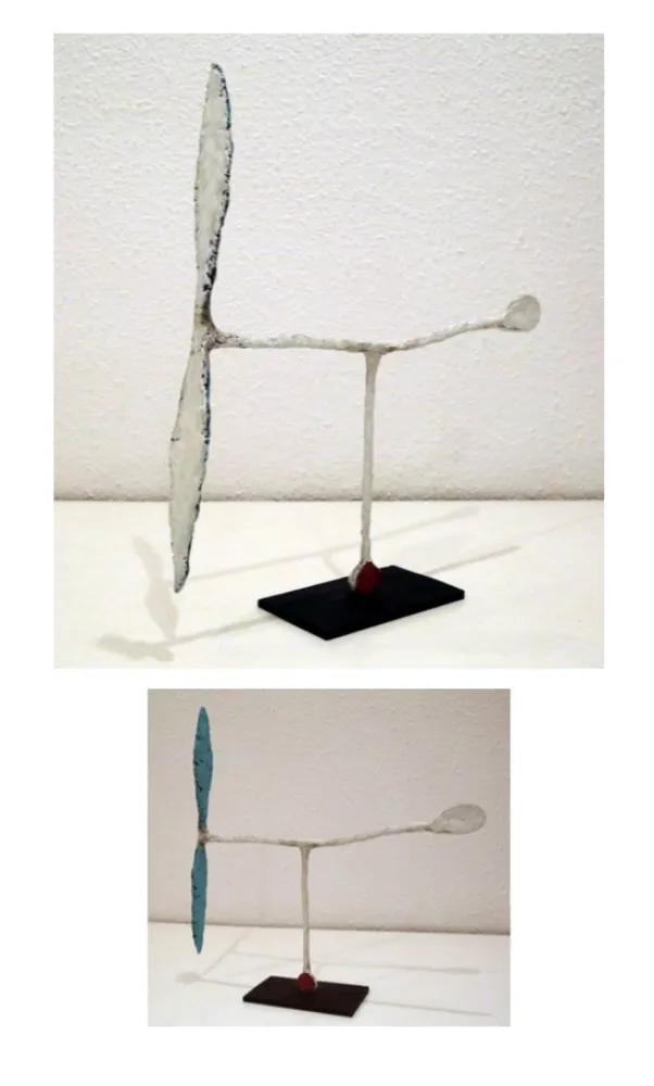 无技术 Riera I Aragó - Avió blanc amb cua