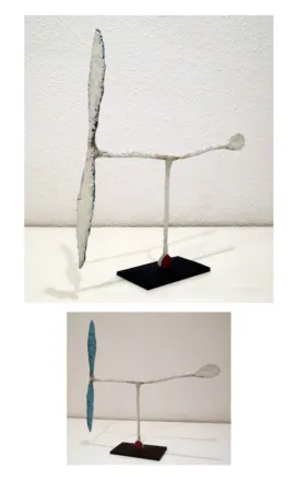 无技术 Riera I Aragó - Avió blanc amb cua