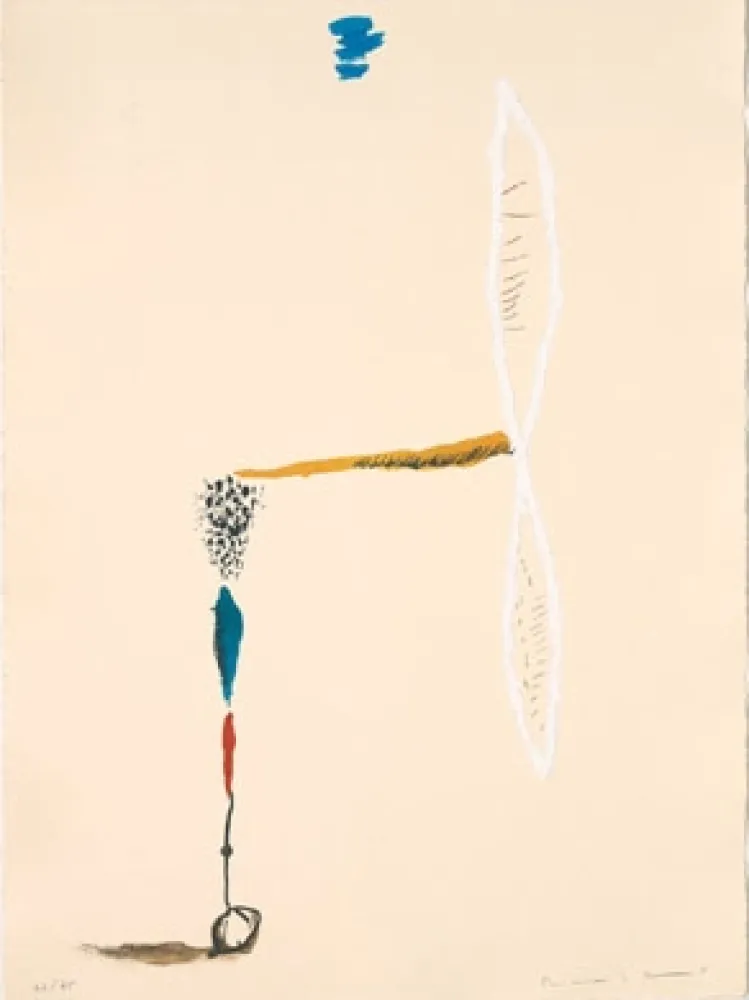 石版画 Riera I Aragó - Avió hèlix blanc 