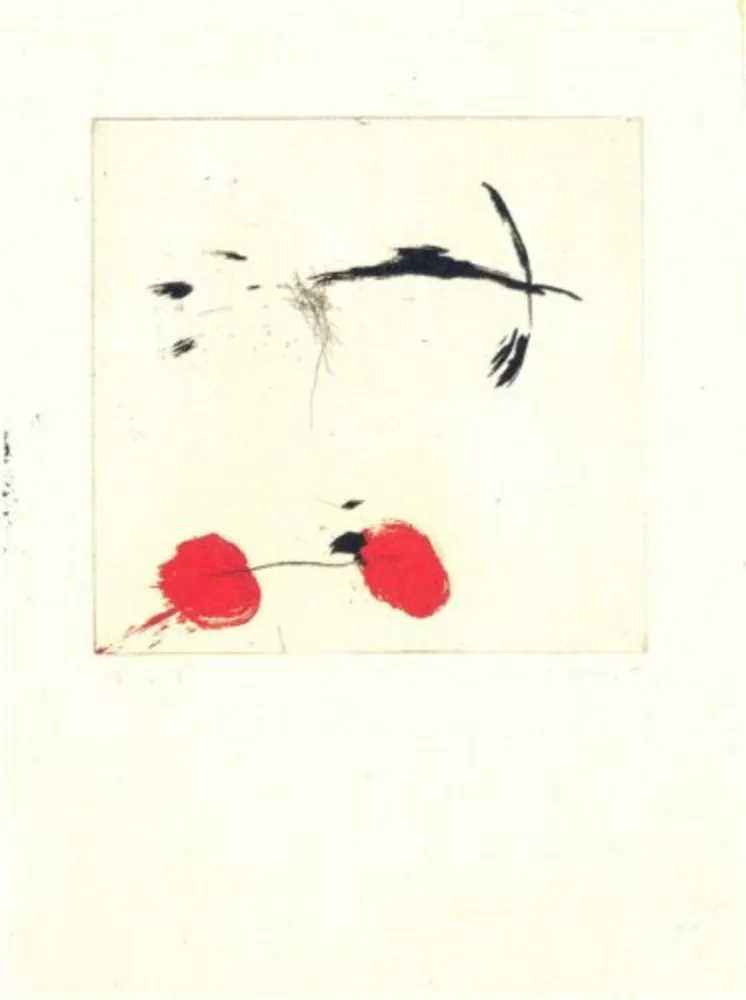 版画 Riera I Aragó - Avió petit rodes vermelles