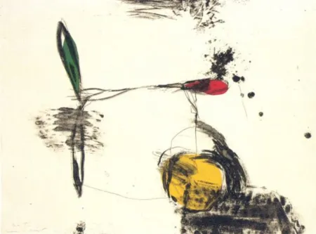 版画 Riera I Aragó - Avió roda groga