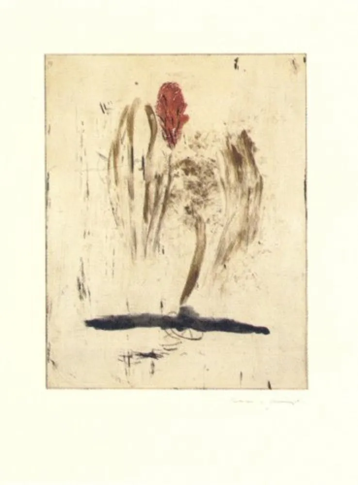 版画 Riera I Aragó - Submarí i ala