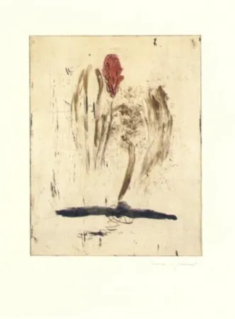 版画 Riera I Aragó - Submarí i ala