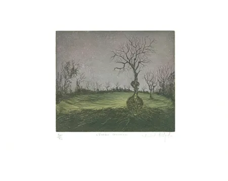 蚀刻飞尘法 Rigal J.j.j. - L'Erable canadien