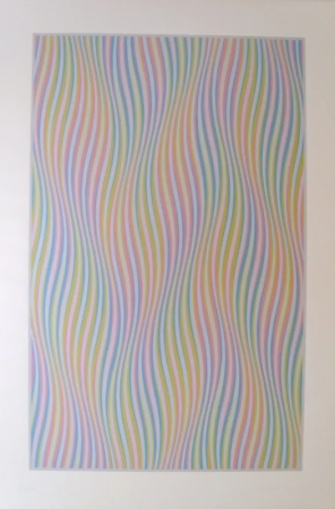 丝网印刷 Riley - Elapse