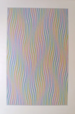 丝网印刷 Riley - Elapse