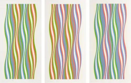 丝网印刷 Riley - Green Dominance, Blue Dominance, Red Dominance (set of 3)
