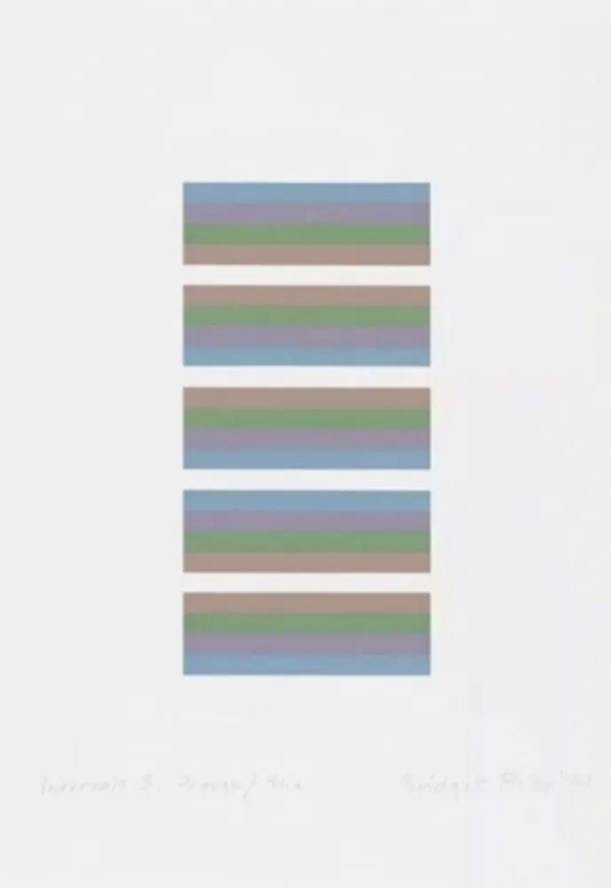 丝网印刷 Riley - Intervals 3 - Orange / Blue