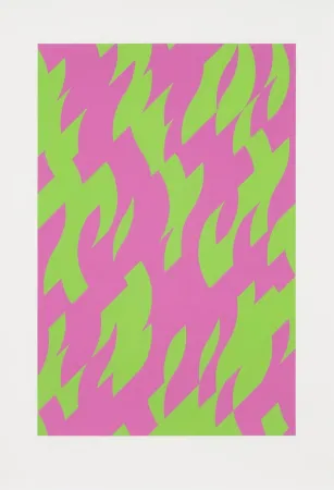 丝网印刷 Riley - Magenta and Green