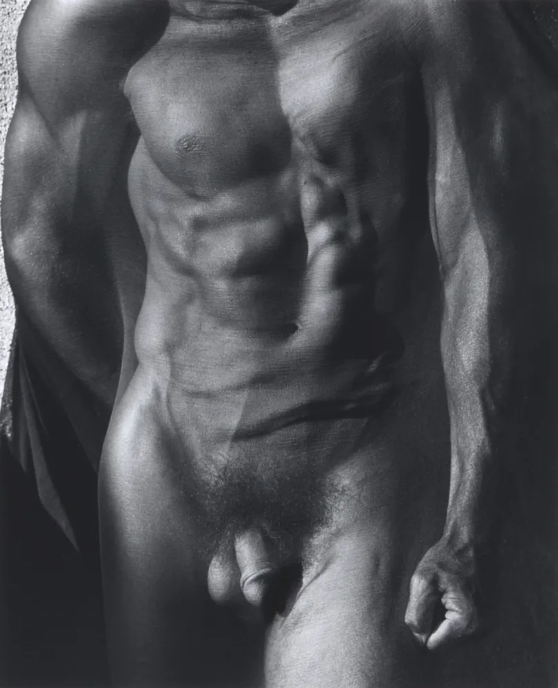 摄影 Ritts - Male Torso with Veil (Tight), Silverlake