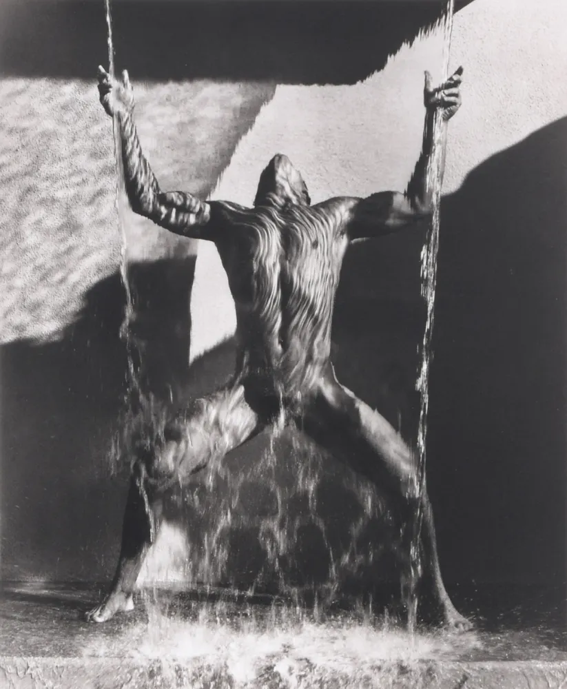 摄影 Ritts - Waterfall II, Hollywood