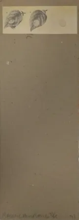 复数作品 Robert - Shirtboards Morocco, Italy