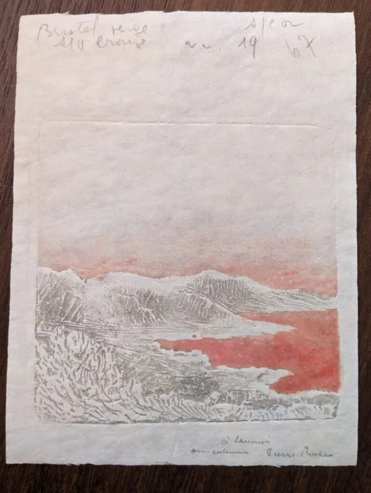 无技术 Roche - Méditerranée