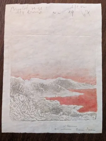 无技术 Roche - Méditerranée