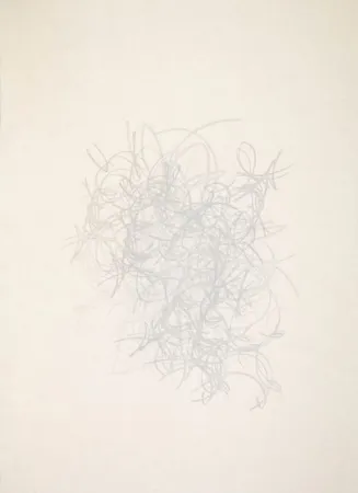 蚀刻飞尘法 Rodriguez Caballero - 07.Octubre.2017