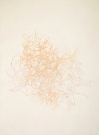 蚀刻飞尘法 Rodriguez Caballero - 08.Octubre.2017