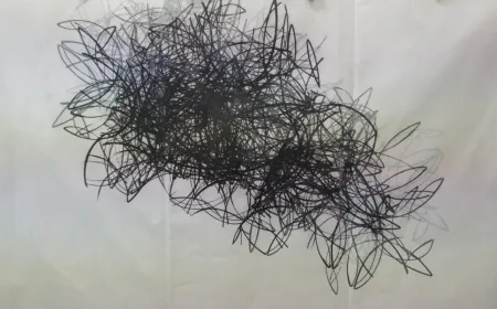 蚀刻飞尘法 Rodriguez Caballero - Shadows 5.November.2018