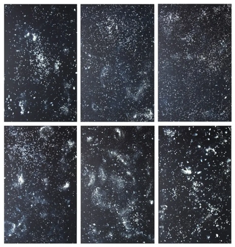 石版画 Rondinone - Stars, portfolio