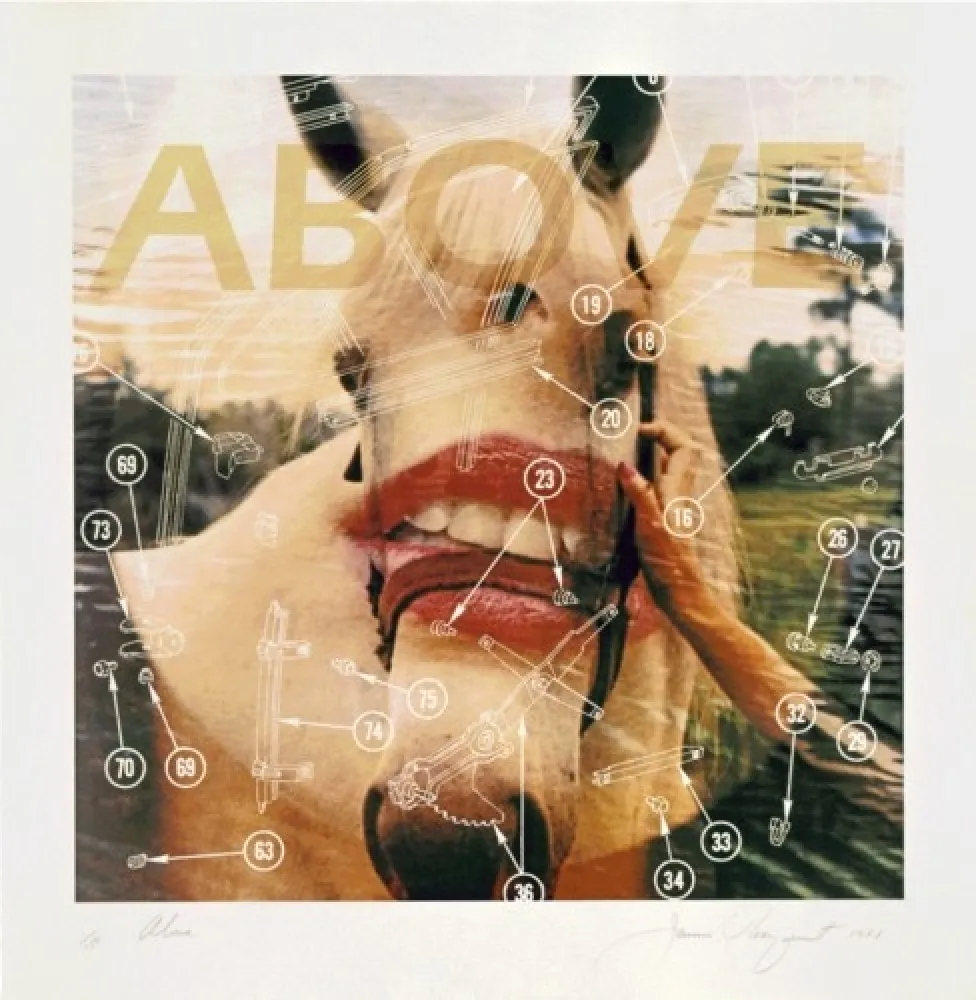 石版画 Rosenquist - Above