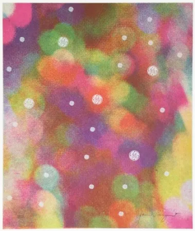 丝网印刷 Rosenquist - Circles of Confusion