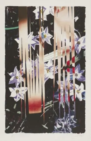 石版画 Rosenquist - Night Transitions