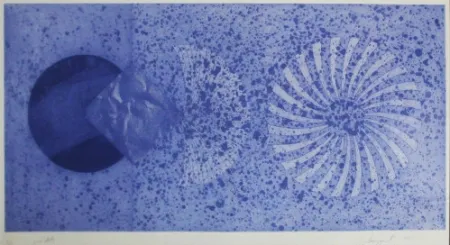 蚀刻飞尘法 Rosenquist - The Book Disappears for the Fast Student 2nd State