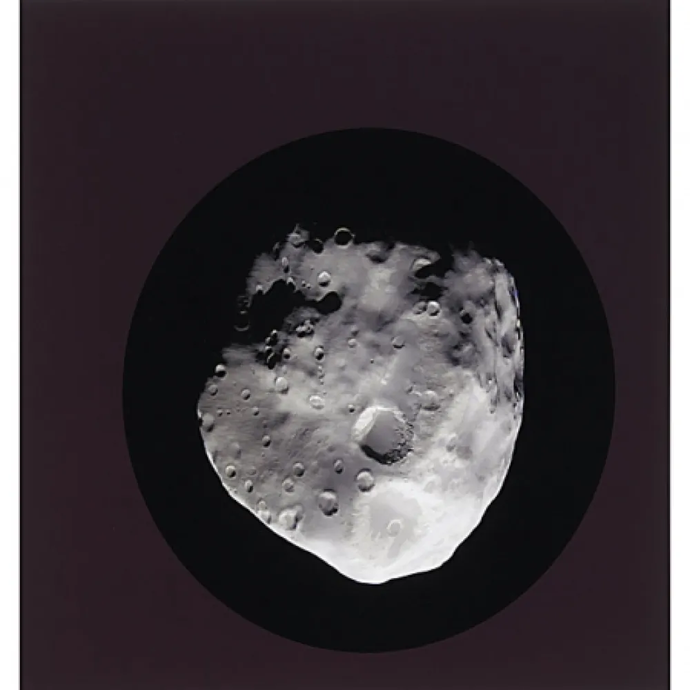 石版画 Ruff - Epimetheus