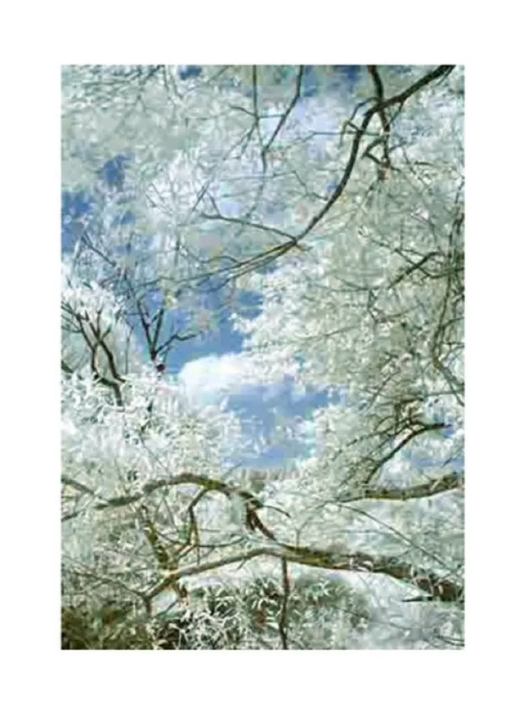 摄影 Ruff - Jpeg_ti_01