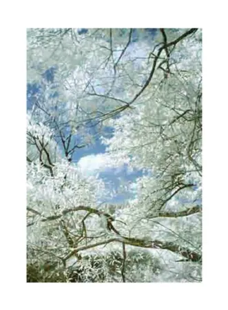 摄影 Ruff - Jpeg_ti_01