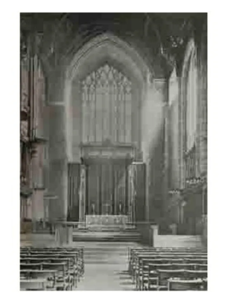 复数作品 Ruff - Jpegs 2006