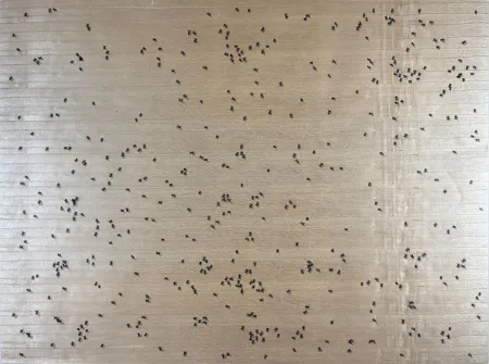 丝网印刷 Ruscha - Black Ants from the Insects Portfolio