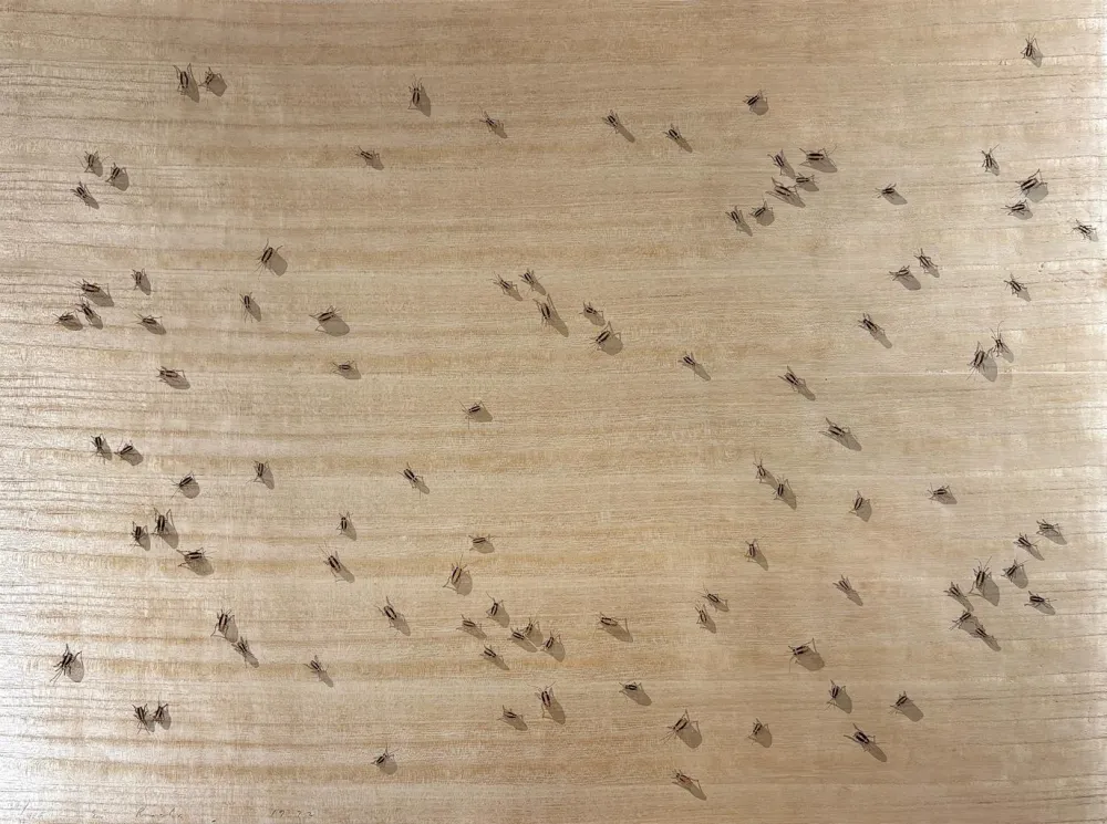 丝网印刷 Ruscha - Cockroaches from the Insects Portfolio