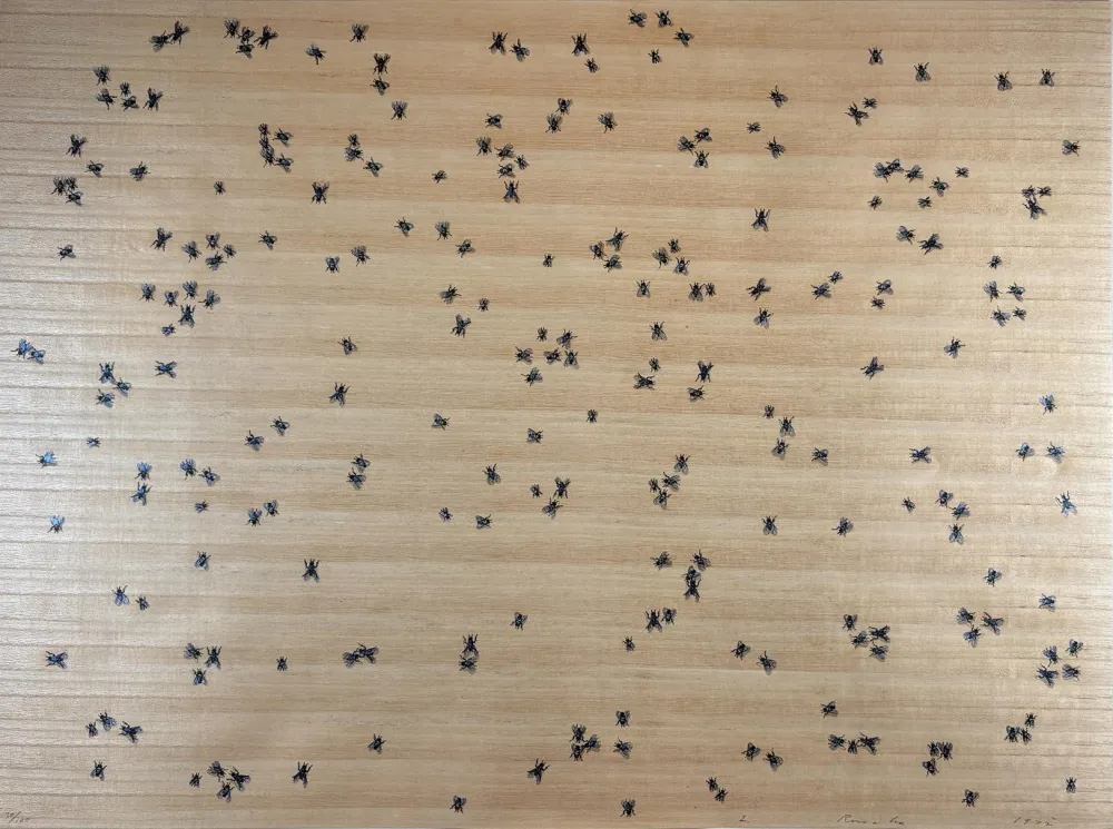 丝网印刷 Ruscha - Flies from the Insects Portfolio